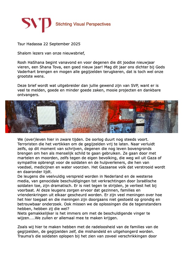 Nieuwsbrief Stichting Visual Perspectives - december 2024